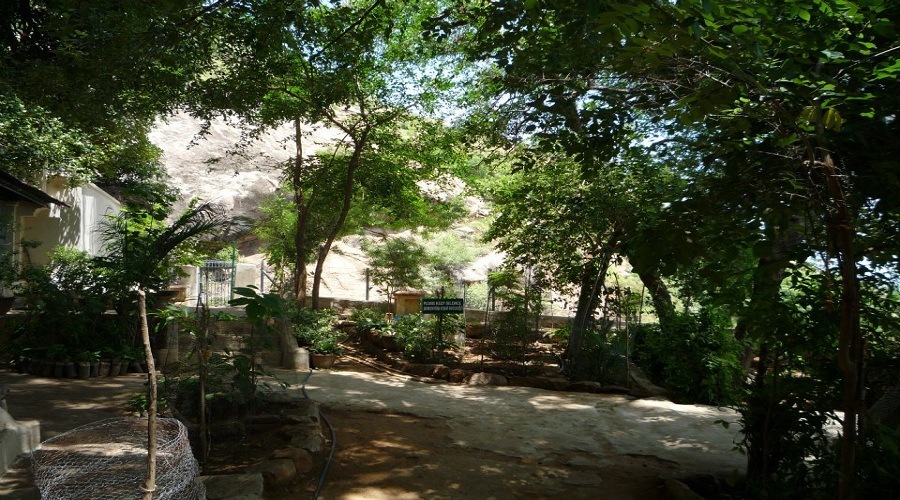 Tiruvannamalai