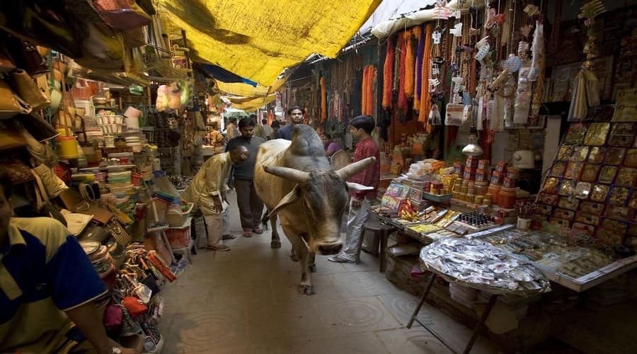 Vishwanath Gali and Chowk