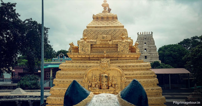 Naimasaryan Tour Packages