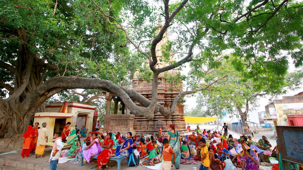 Panch Koshi Parikrama