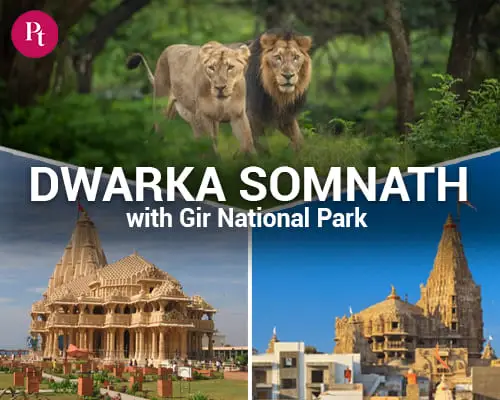 Dwarka Somnath Tour Package with Gir National Park