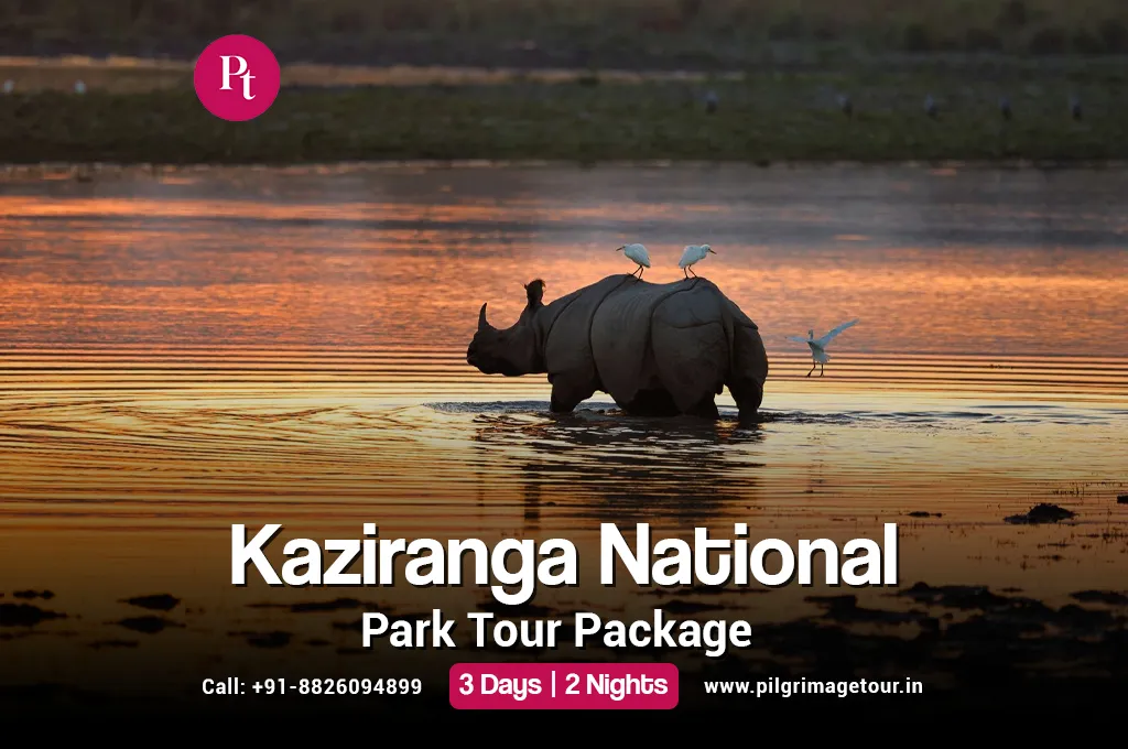 Kaziranga National Park Tour Package