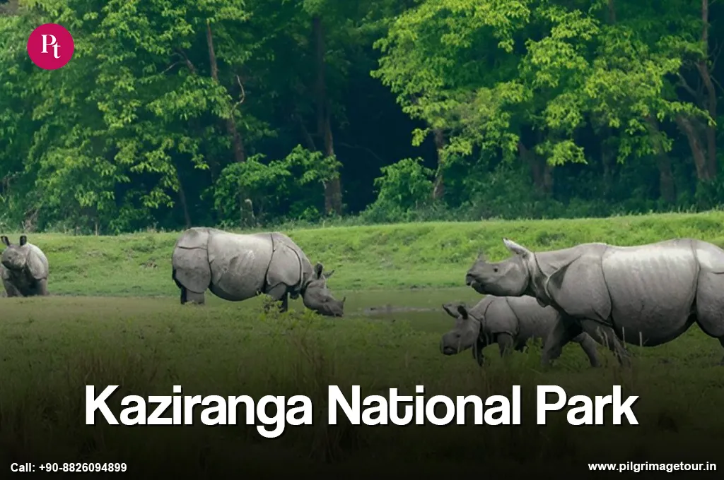 Enchanting North East India Tour