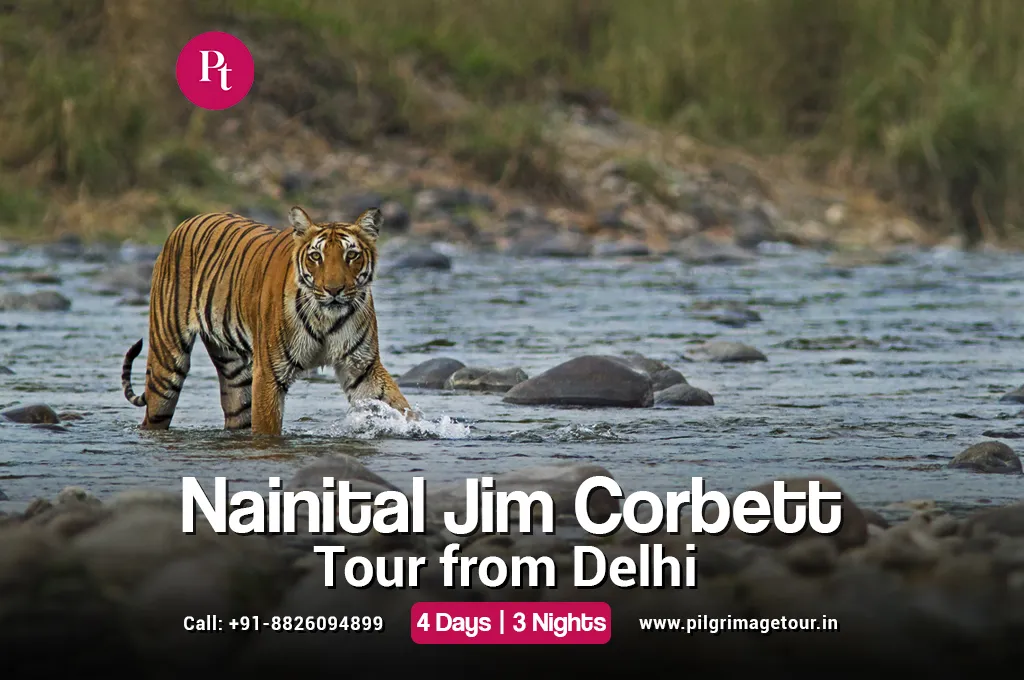 Jim Corbett and Nainital Tour Package