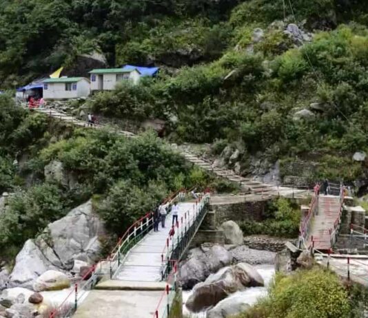 Kedarnath Trek Guide