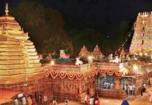 Best Time To Visit Mallikarjun Temple