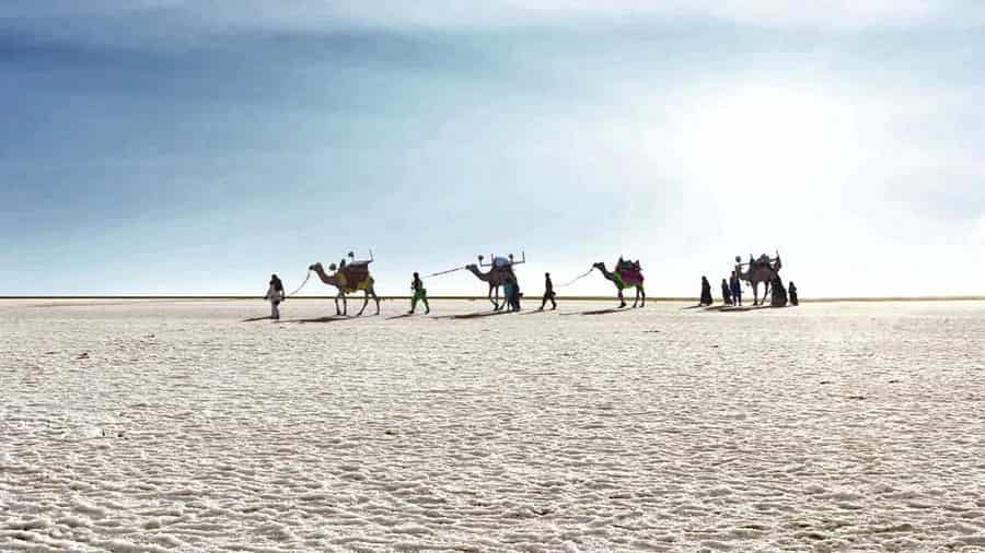 Rann of Kutch