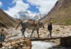 Adi Kailash Yatra Trekking Travel Tips