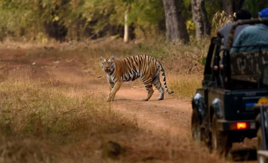 Achanakmar Tiger Reserve