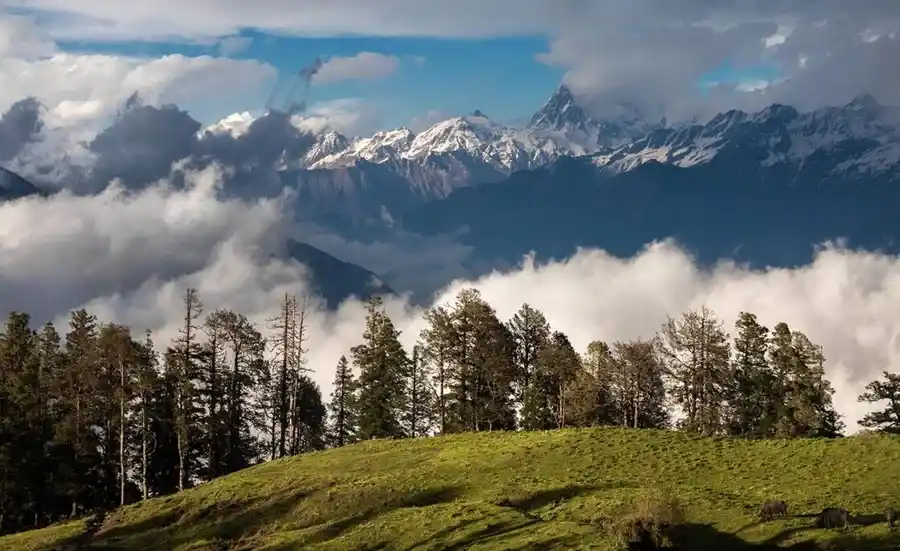 Dayara Bugyal