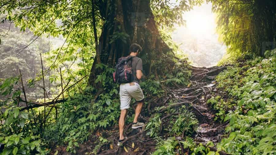 Trekking in Rishikesh