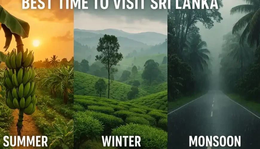 Best Time to Visit Sri Lanka