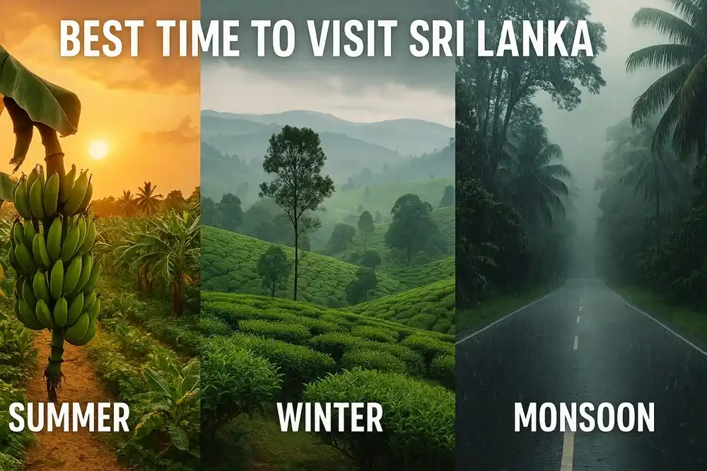 Best Time to Visit Sri Lanka