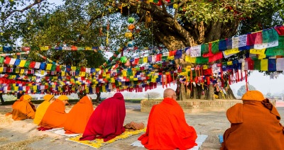 Buddhist Monastery Tour Package