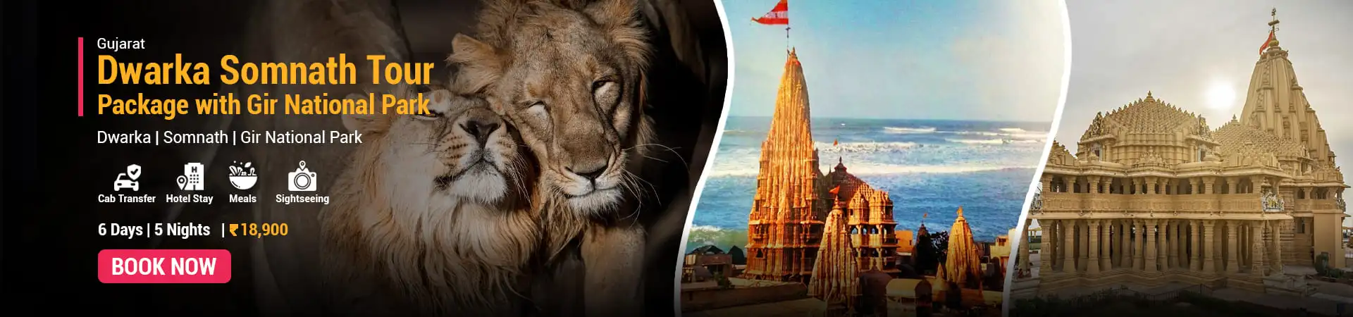 Dwarka Somnath Tour Package with Gir National Park