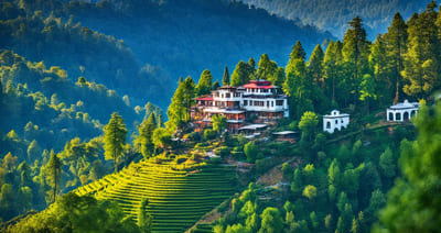 Kainchi Dham Mukteshwar Jageshwar Kausani Ranikhet Packages