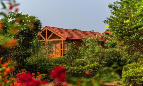 Leo Wooden Resorts Hampi