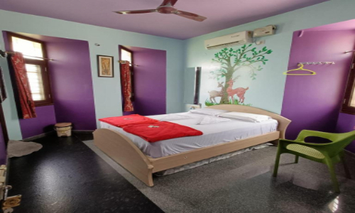 Mango Tree Homestay Hampi