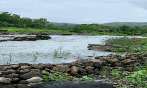 Hotel Sunils villa Bhimashankar